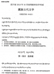 自考《04425藏族古代文学》(四川)历年考试真题电子版【6份】