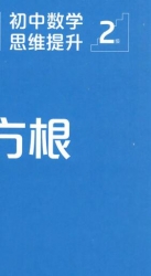 初中数学精选：初中数学思维提升2级【七年级】